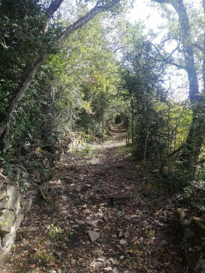 Casa Cotefablo Alojamiento Ara Gavin Biescas Dış mekan fotoğraf